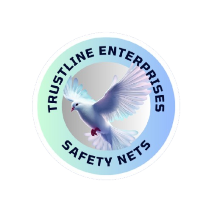 invisiblesafetynetsbangalore.com